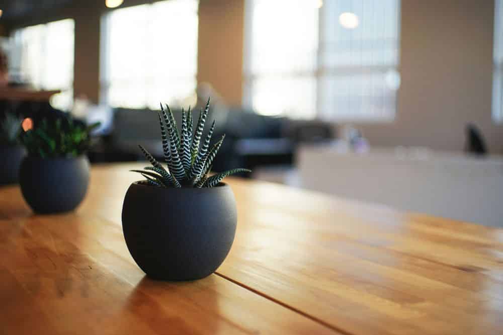 Commercial Cleaning image